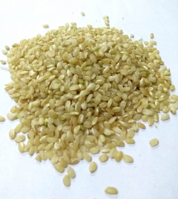 ARROZ YAMANI INTEGRAL AGROECOLOGICO X500GR