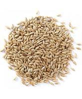 ALPISTE DE CONSUMO HUMANO A GRANEL