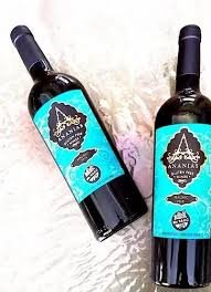 ANANIAS VINO MALBEC S/TACC 750CC