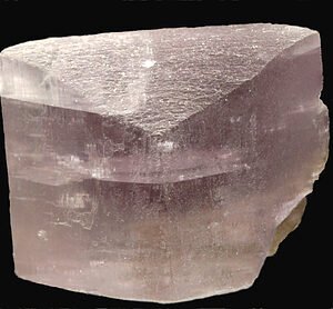 ISACAR PIZZA BERENJENA STACC