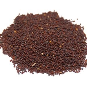 EL FUERTE MOSTAZA EN GRANO