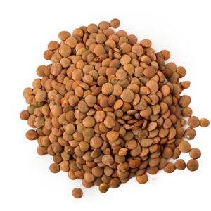 LENTEJON A GRANEL X250GR