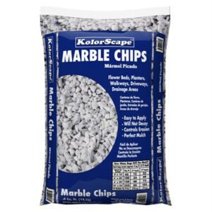 MARBE GALL SAZU CHIPS