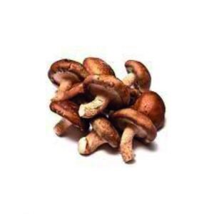 HONGOS SHITAKE GRANEL X25GR