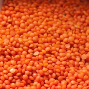 LENTEJA TURCA O ROJA GRANEL